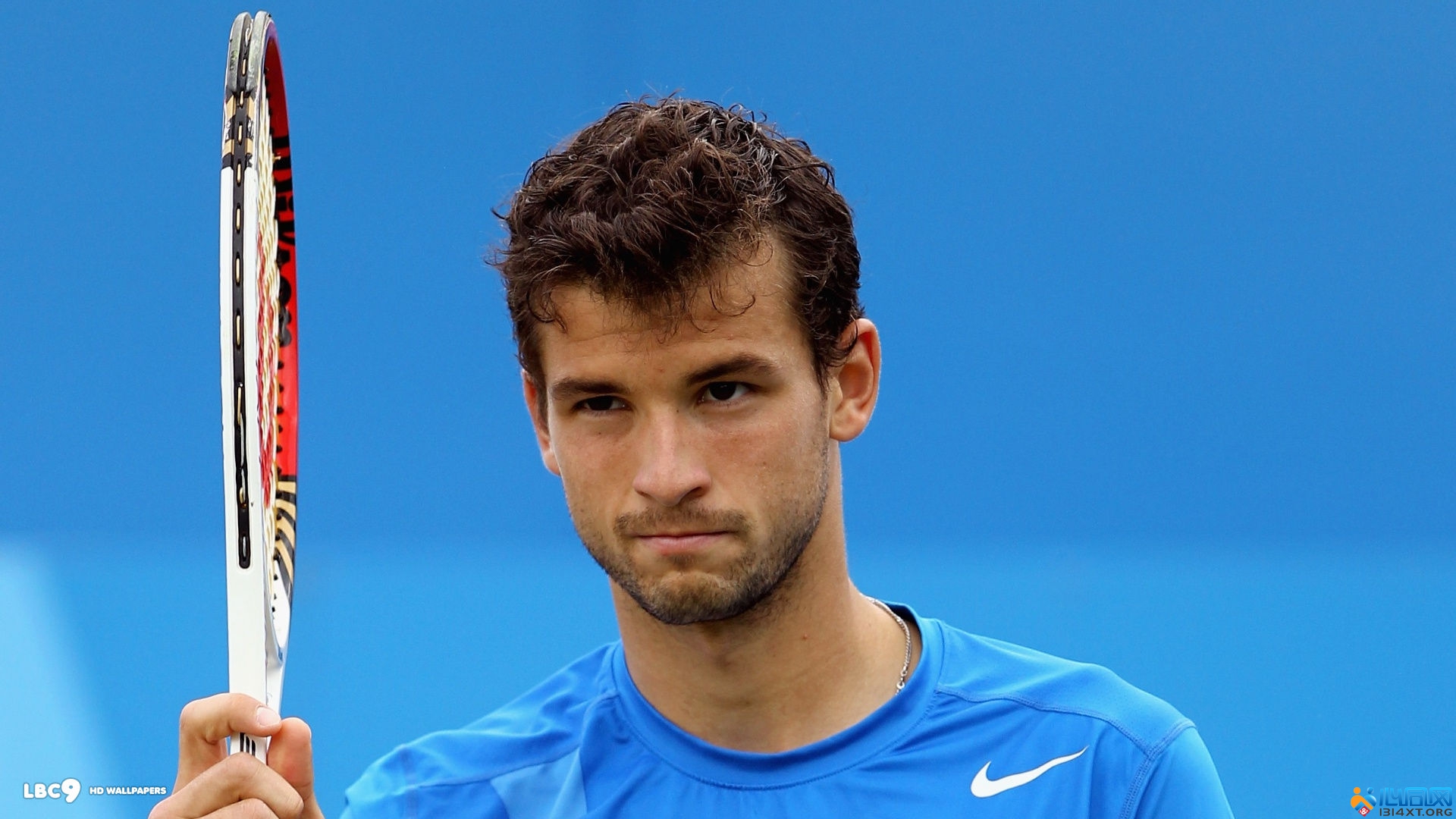 的映衬下 的映衬下